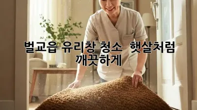 ✨ 벌교읍 유리창 청소, ☀️ 햇살처럼 깨끗하게! #