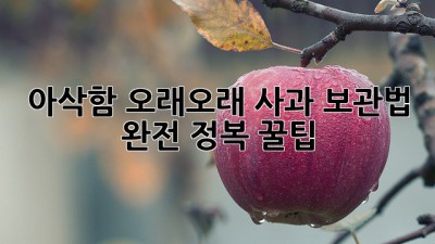 아삭함🍎 오래오래! 사과 보관법 완전 정복 꿀팁 🍯